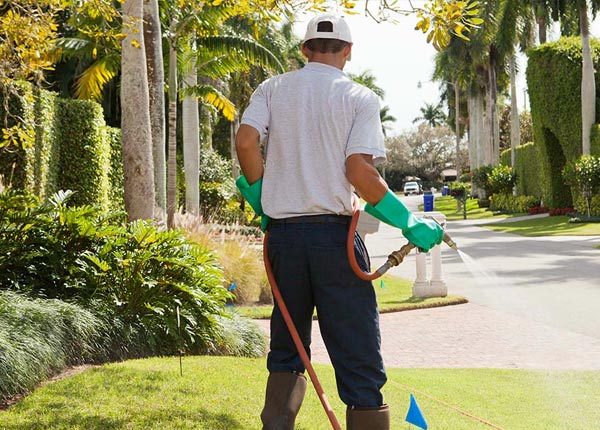 About Kimball SD Pest Control